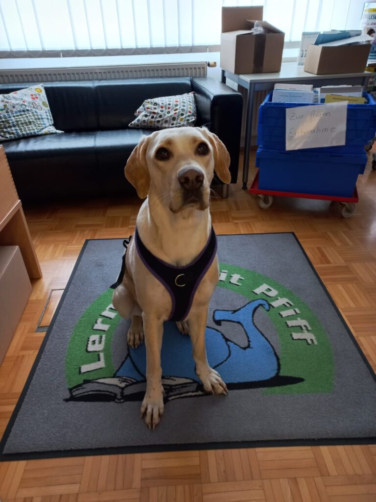 Lia - mein Rechtschreibhund.